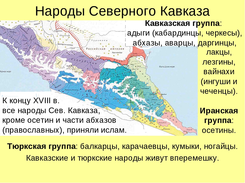 Кавказцы